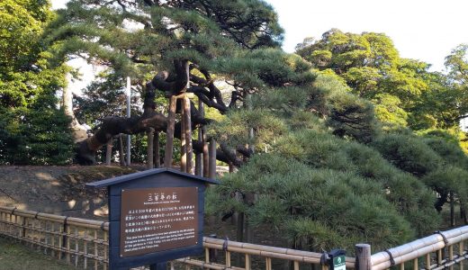 【筆者のつぶやき】東京さんぽ①浜離宮恩賜庭園